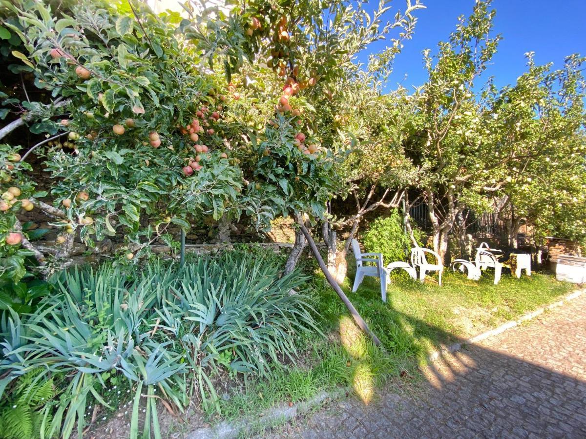 Casa Da Risca Apartment Unhais Da Serra Bagian luar foto